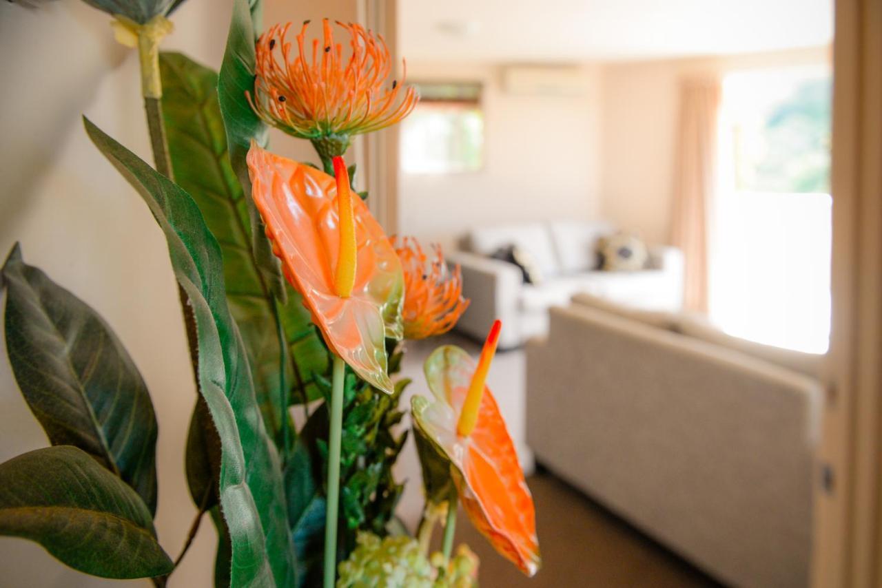 Absolute Bliss Apartments Paihia Exterior photo